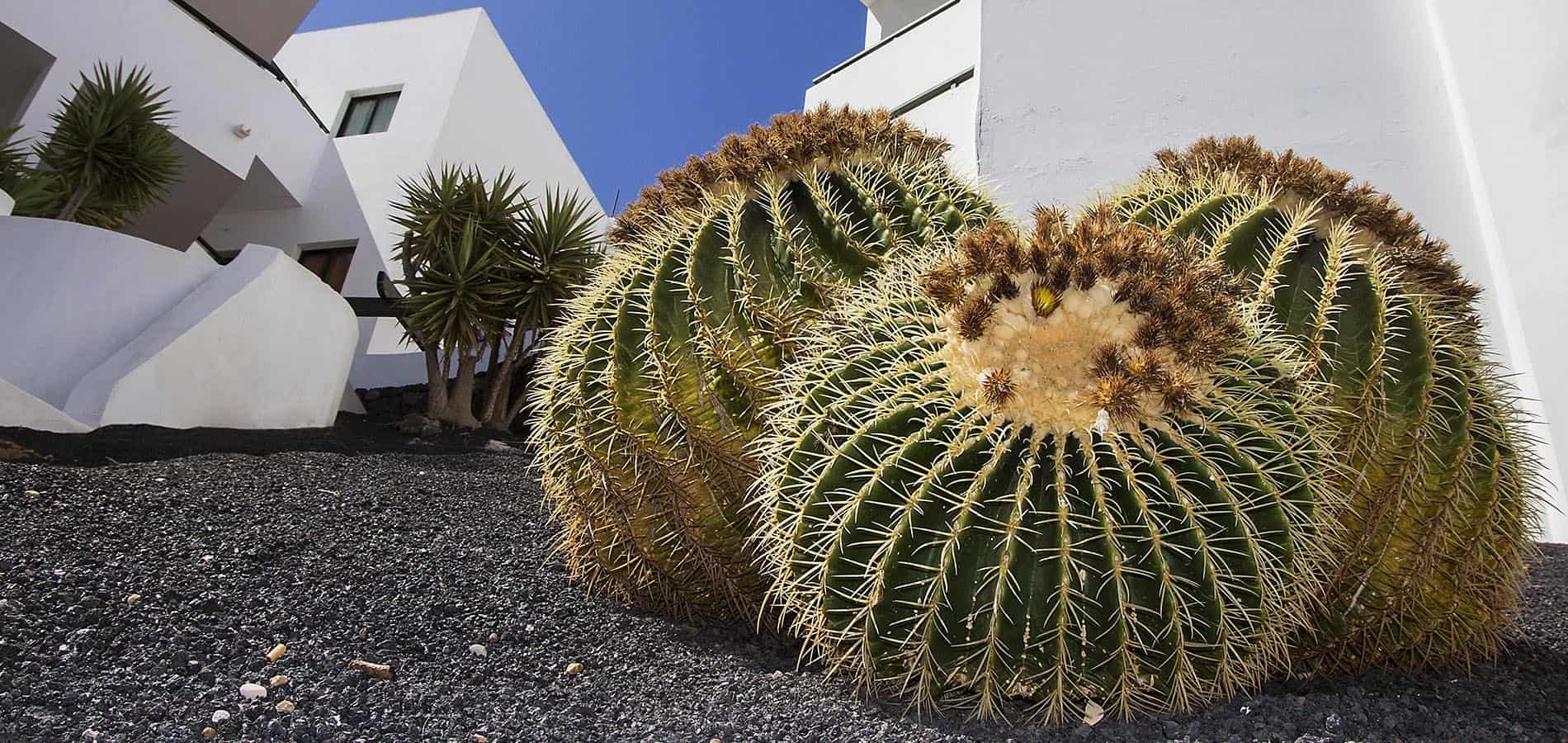 Lanzarote Paradise