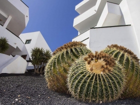 Lanzarote Paradise